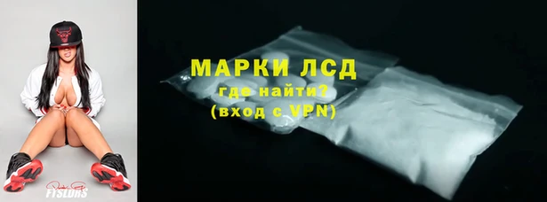 spice Бородино