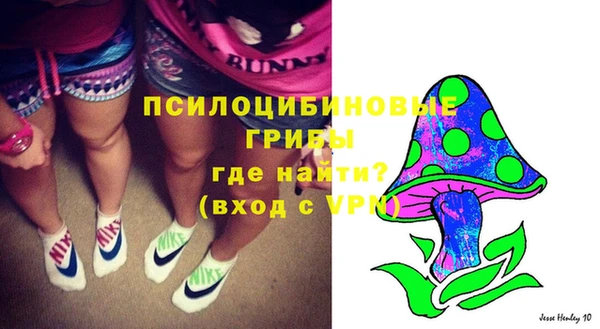 spice Бородино