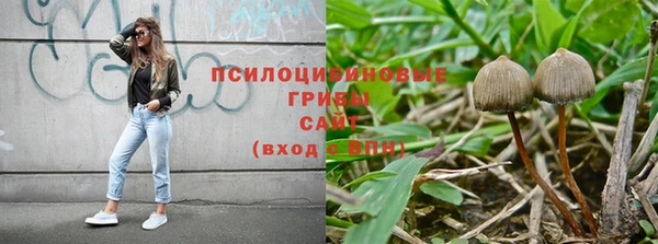spice Бородино